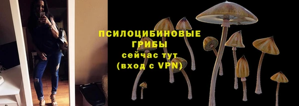 дмт Абдулино