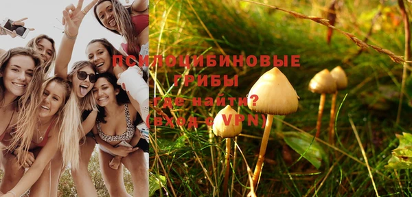 гидра Абинск