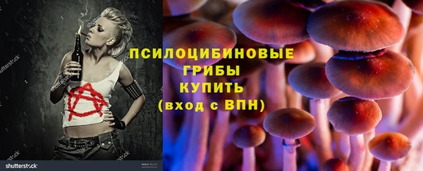гидра Абинск
