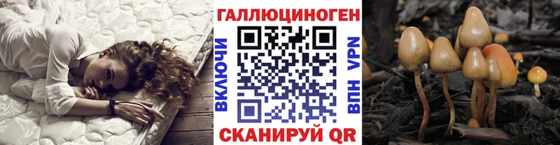 Псилоцибиновые грибы Psilocybe  цена наркотик  hydra зеркало  Тольятти 