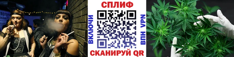 Канабис план  Тольятти 